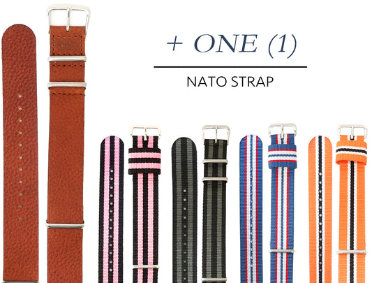 Leather + ANY One NATO Strap